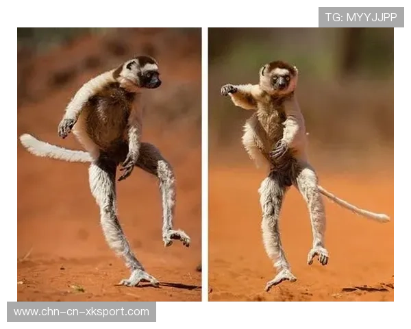 马达加斯加长跑运动员突破自我，马达加斯加名场面